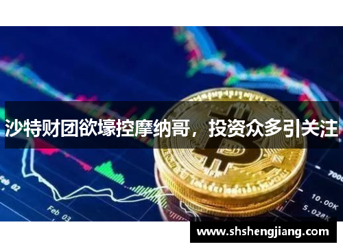 沙特财团欲壕控摩纳哥，投资众多引关注